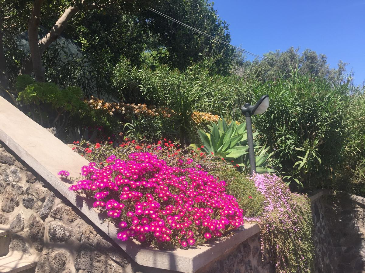 Hotel Don Felipe Ischia Zewnętrze zdjęcie